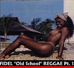 Fidel Old School Slow Reggae Vol 1